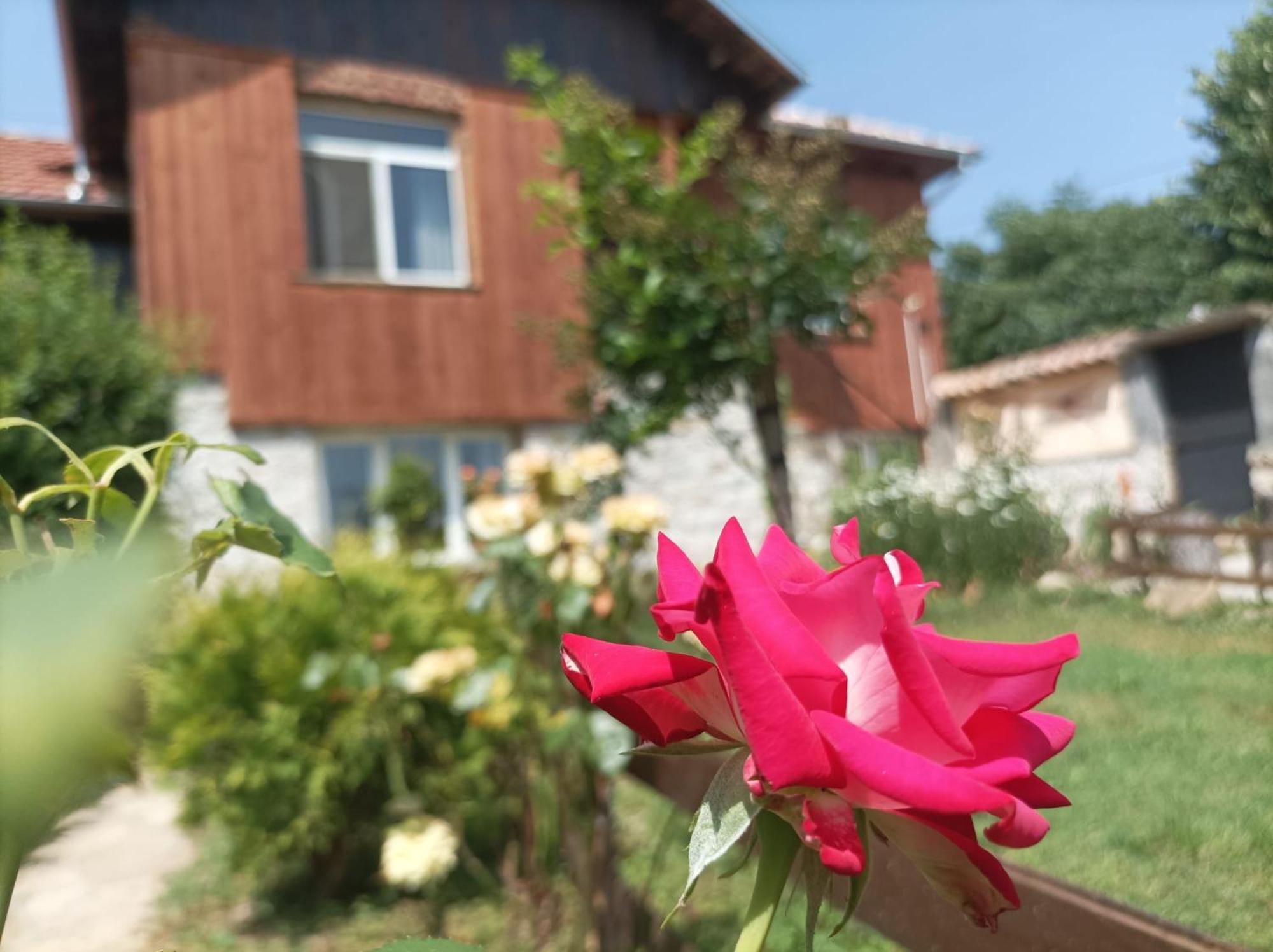 Villa Nina In Kramolin Dış mekan fotoğraf